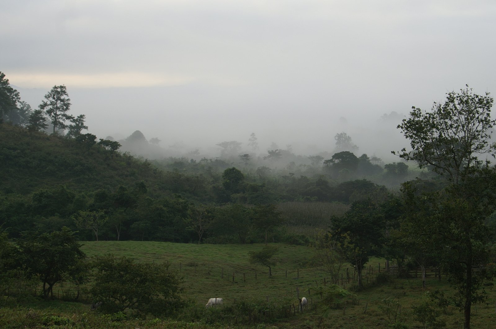 Una sentencia de Venganza (extracto)